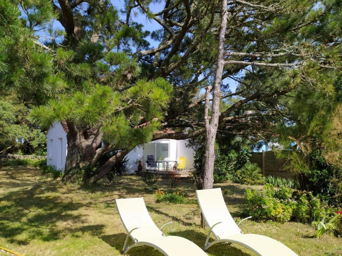 Maison Cosy 200M Plage De La Liniere, Jardin Clos, Terrasse, Parking Prive - 4 Couchages - Fr-1-224B-90 诺亚芒提亚 外观 照片